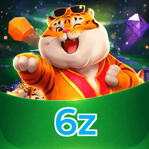 Métodos de pagamento aceitos na 6z